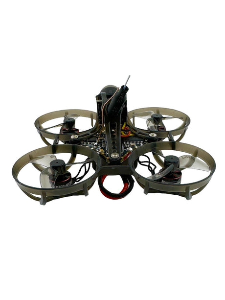 Mobula6 2024