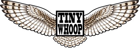 Tiny Whoop News is BACK