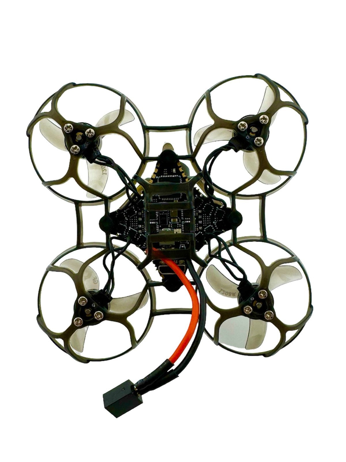 Mobula6 2024